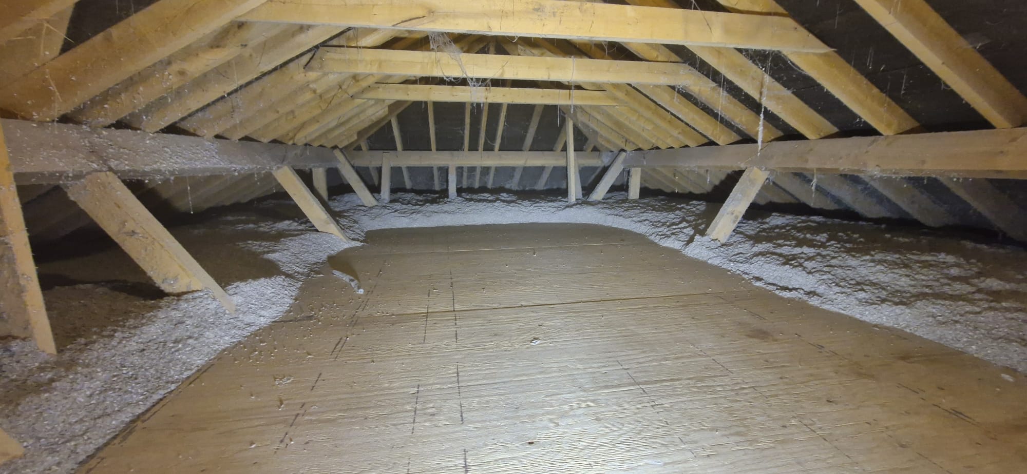 Ecocel Cellulose
